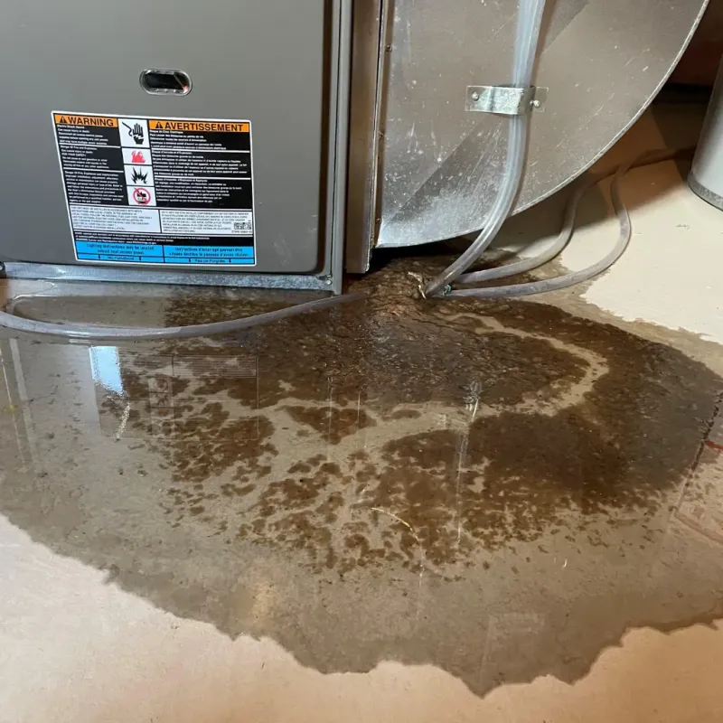 Appliance Leak Cleanup in Bell County, KY